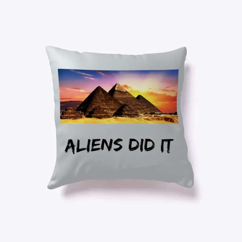 Conspiracy Pillow